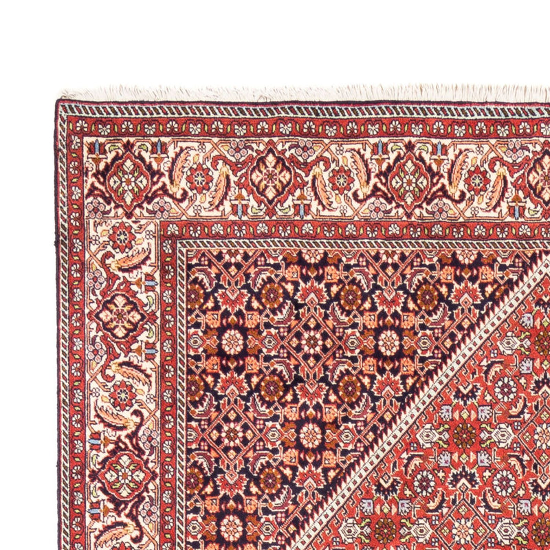 Bidjar - Bukan Teppe 240x168cm - Persisk teppe