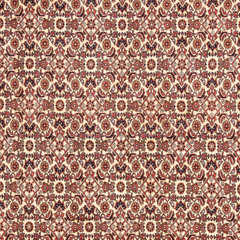 Bidjar - Bukan Teppe 244x166cm - Persisk teppe