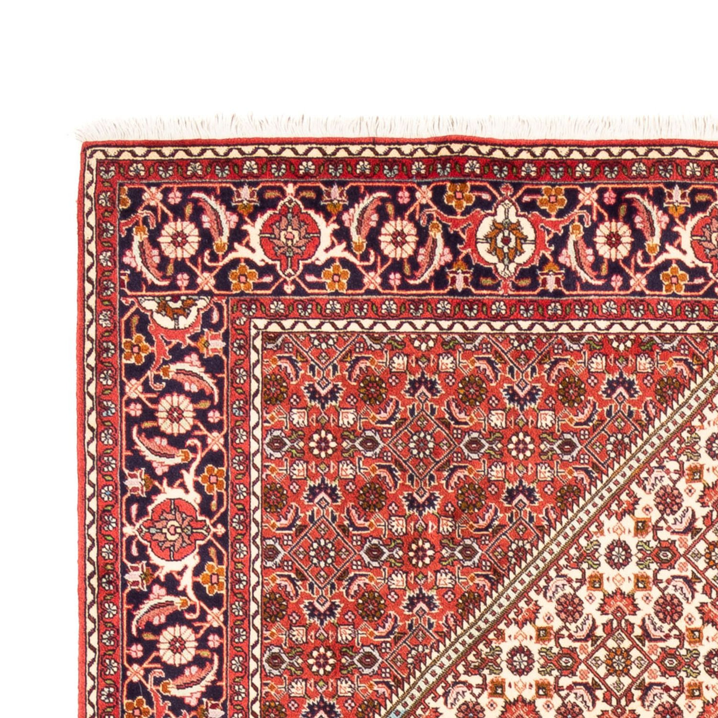 Persisk teppe - Bijar - Royal - 249 x 170 cm - beige