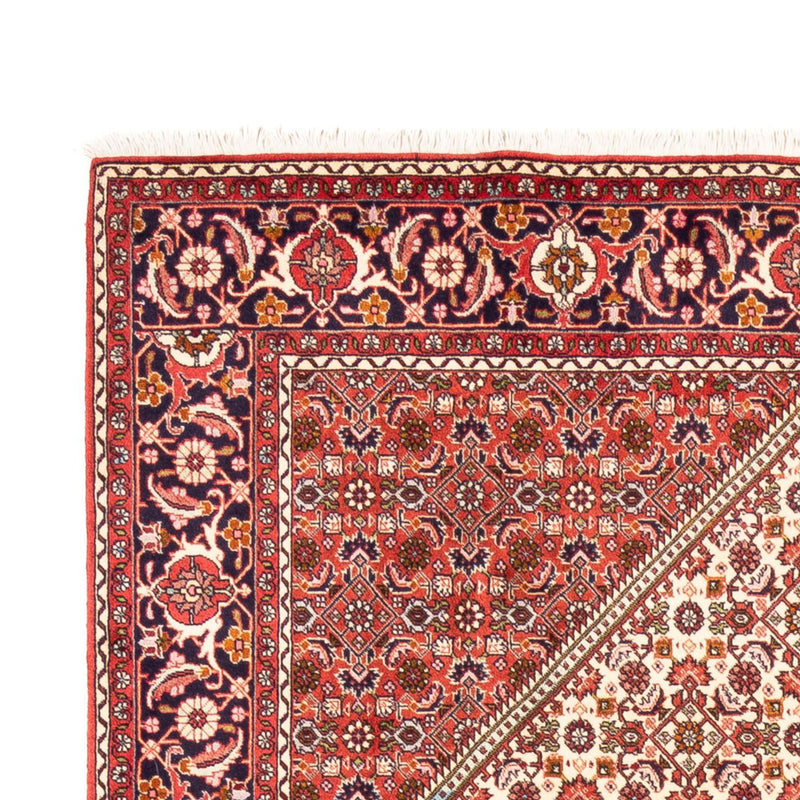Persisk teppe - Bijar - Royal - 249 x 170 cm - beige