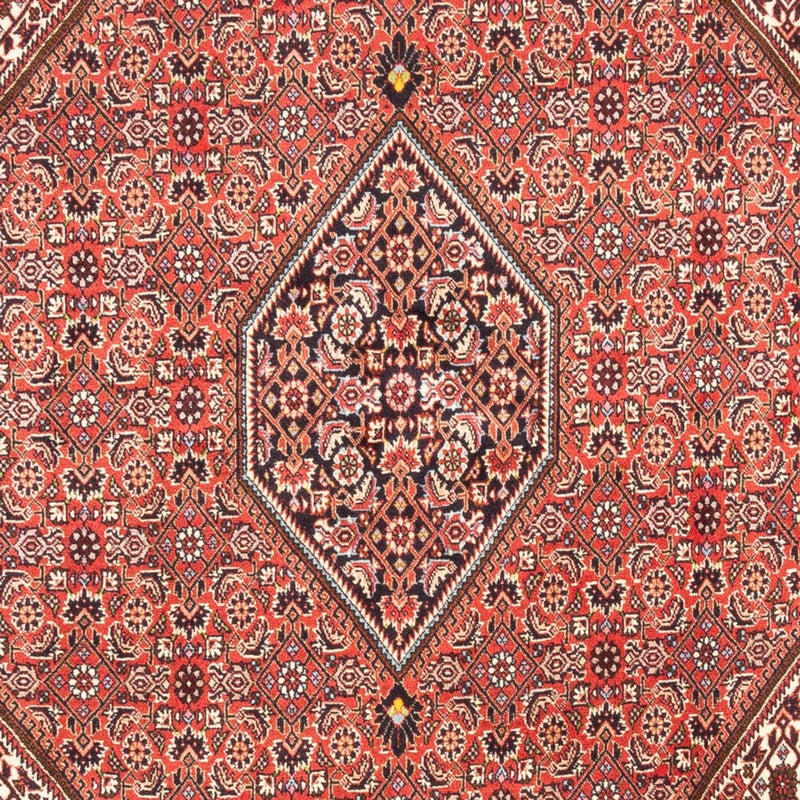 Bidjar - Bukan Teppe 247x173cm - Persisk teppe