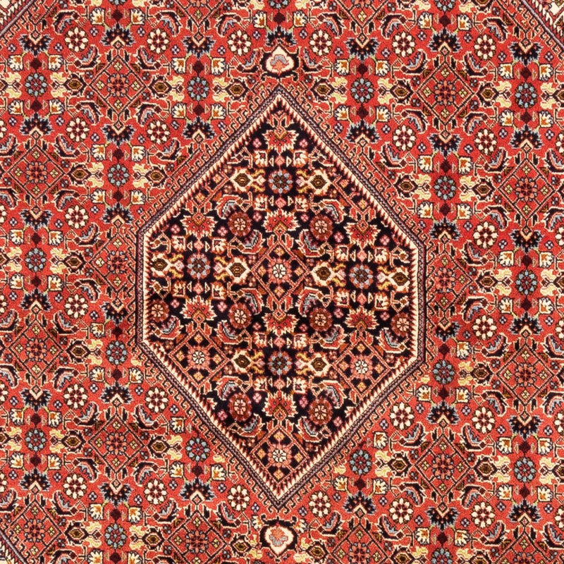 Bidjar - Bukan Teppe 246x171cm - Persisk teppe