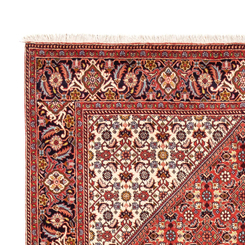 Bidjar - Bukan Teppe 246x171cm - Persisk teppe