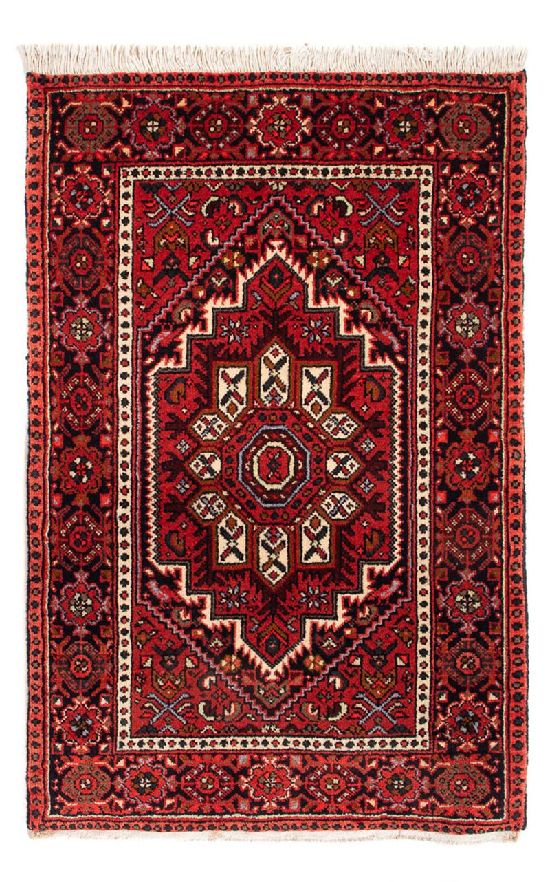 Gholtogh Teppe 95x60cm - Persisk teppe