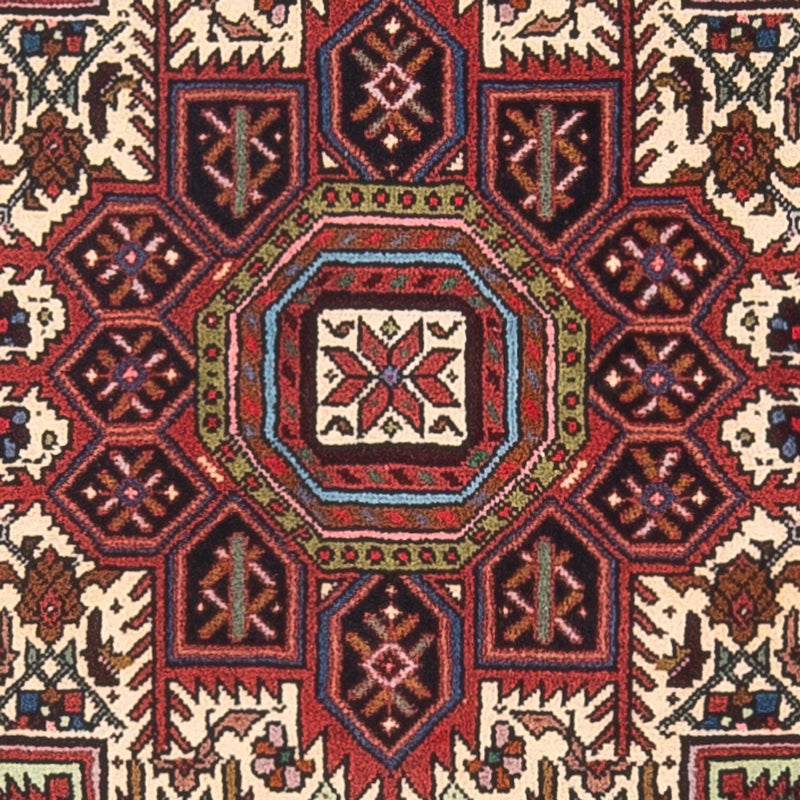 Gholtogh Teppe 80x122cm - Persisk teppe