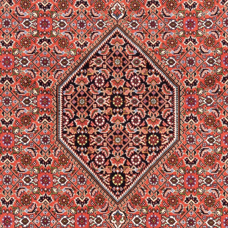 Bidjar - Bukan Teppe 250x170cm - Persisk teppe