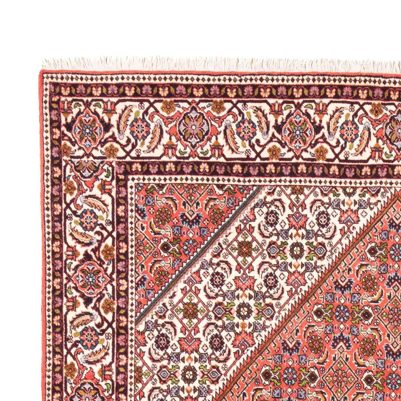 Bidjar - Bukan Teppe 247x172cm - Persisk teppe