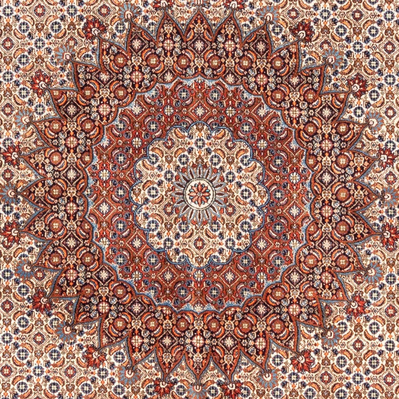 Moud Teppe 290x200cm - Persisk teppe