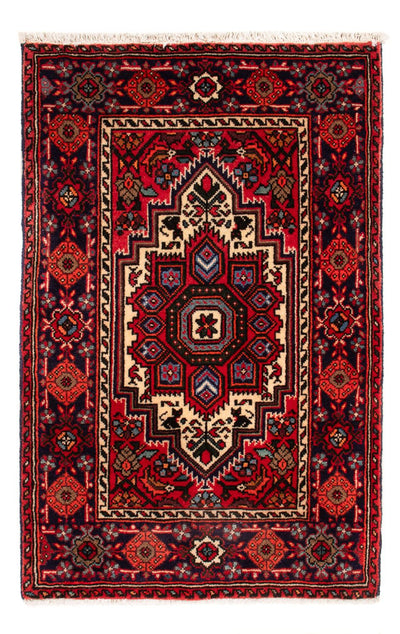 Gholtogh Teppe 48x72cm - Persisk teppe