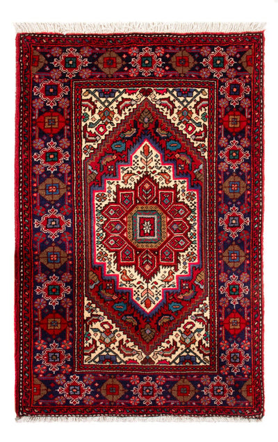 Gholtogh Teppe 51x80cm - Persisk teppe