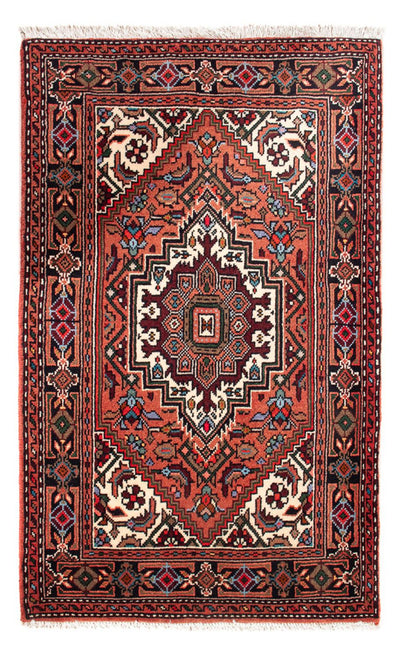 Gholtogh Teppe 55x88cm - Persisk teppe