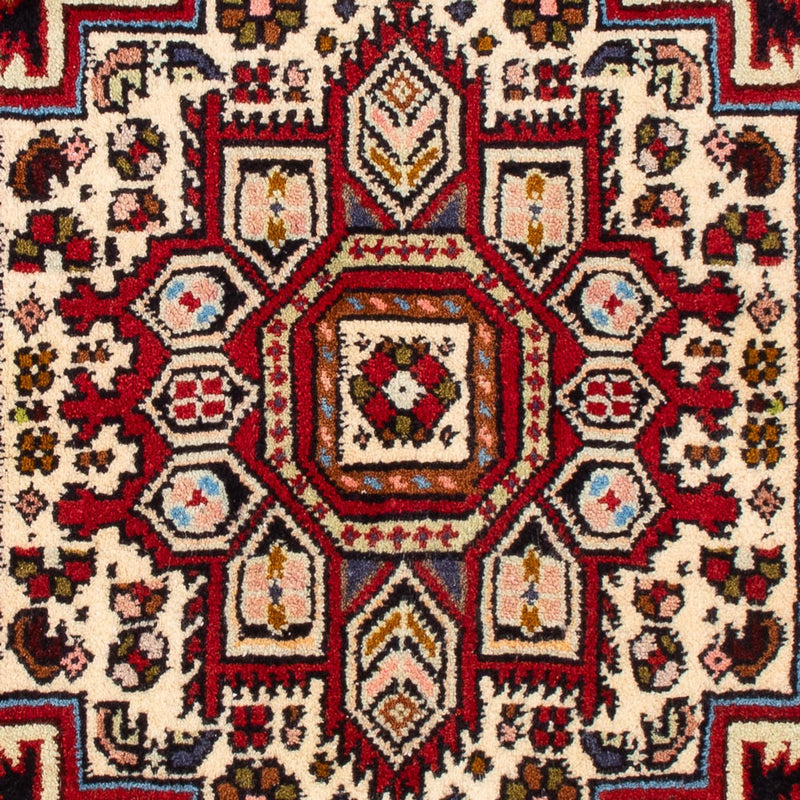 Gholtogh Teppe 100x57cm - Persisk teppe