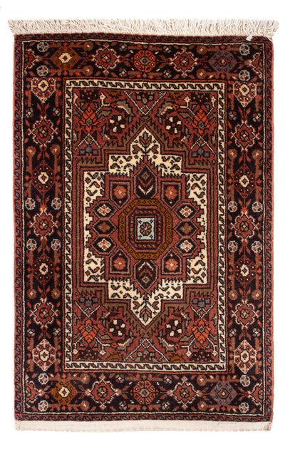 Gholtogh Teppe 40x60cm - Persisk teppe
