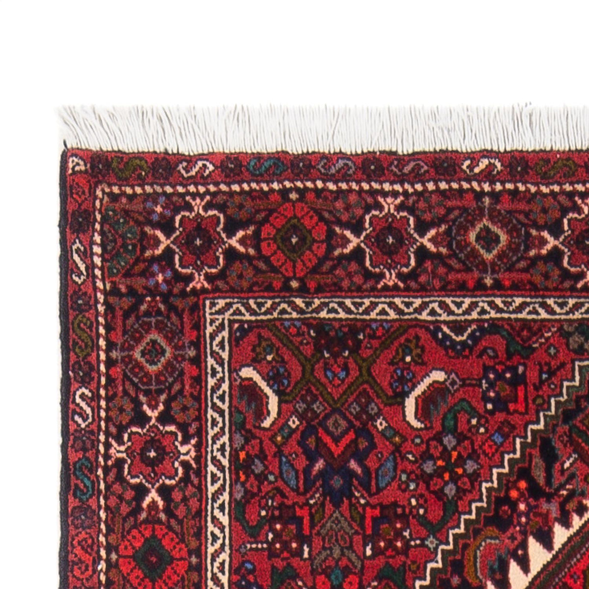 Gholtogh Teppe 78x137cm - Persisk teppe
