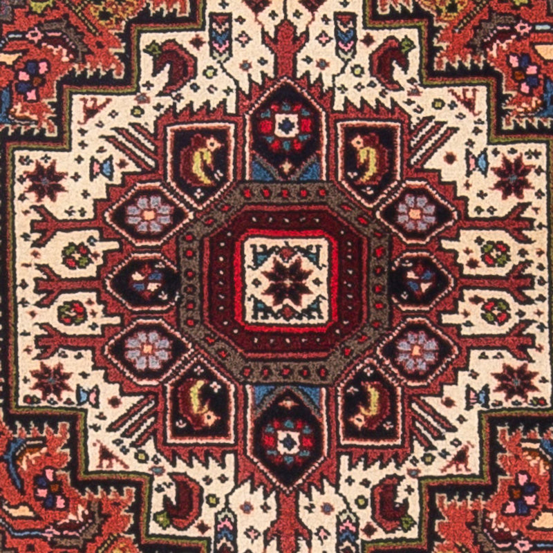 Gholtogh Teppe 75x125cm - Persisk teppe