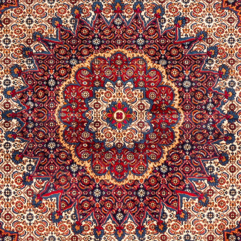 Moud Teppe 262x217cm - Persisk teppe