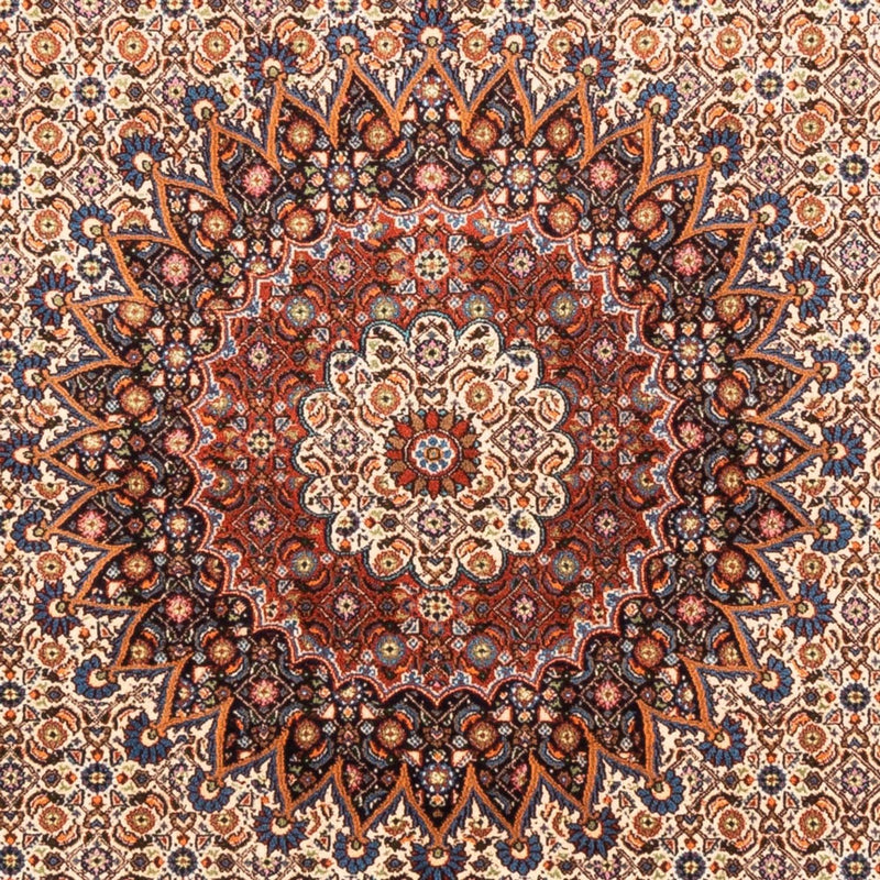 Moud Teppe 290x206cm - Persisk teppe