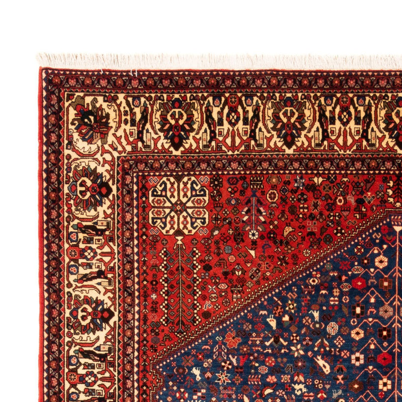 Abadeh Teppe 310x210cm - Persisk teppe