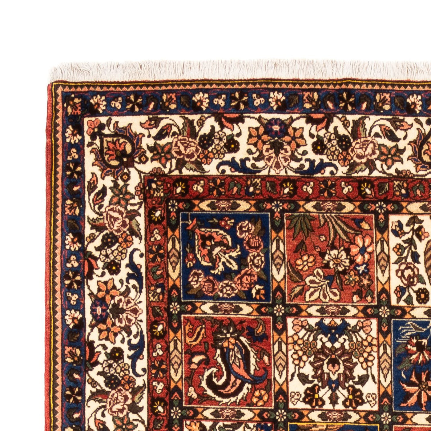 Bakhtiari Teppe 240x158cm - Persisk teppe