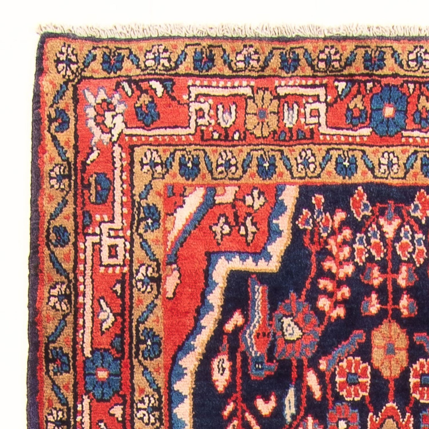 Kolyai Teppe 313x111cm - Persisk teppe