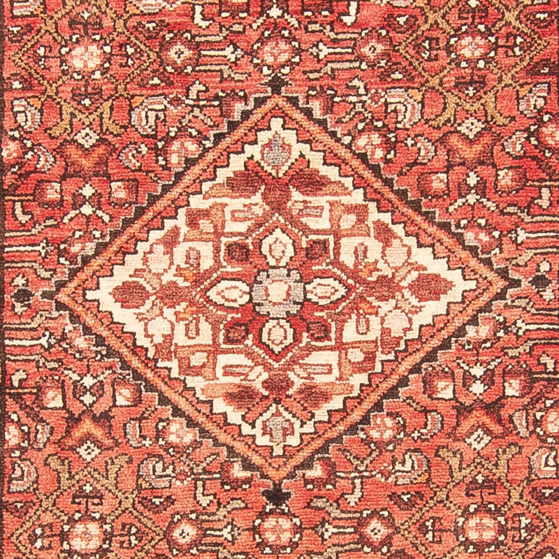 Hosseinabad Teppe 306x113cm - Persisk teppe