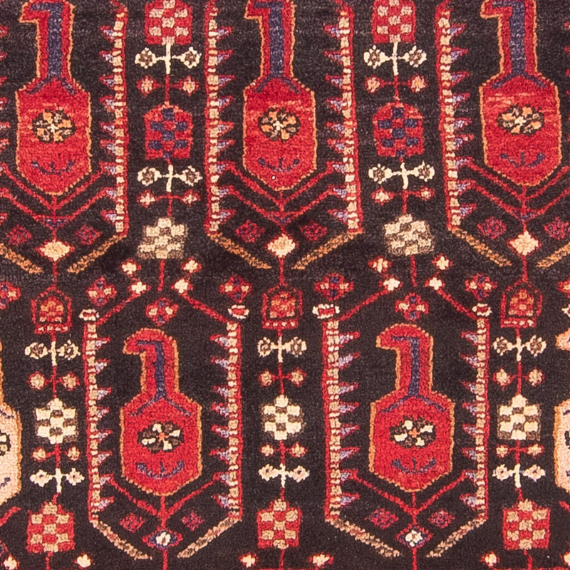 Kolyai Teppe 100x287cm - Persisk teppe