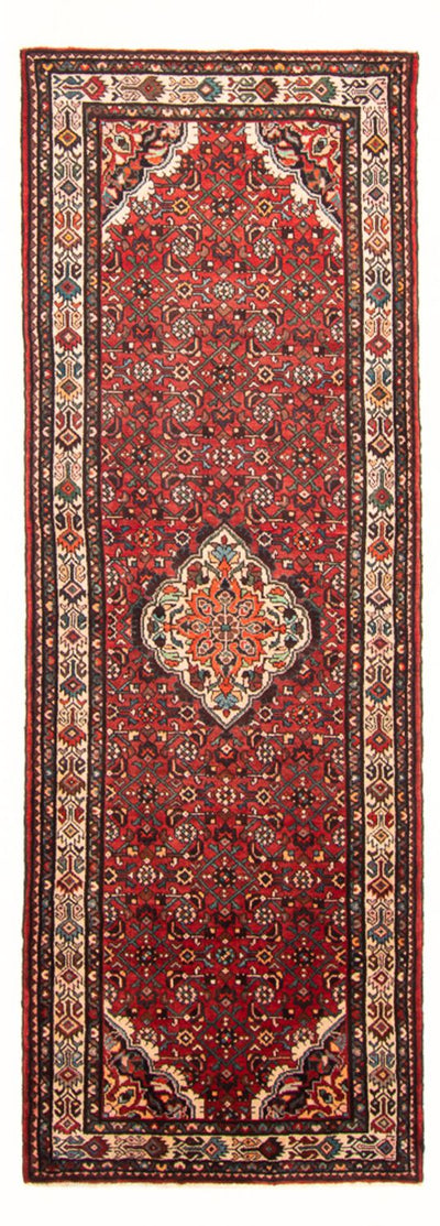 Hosseinabad Teppe 119x296cm - Persisk teppe