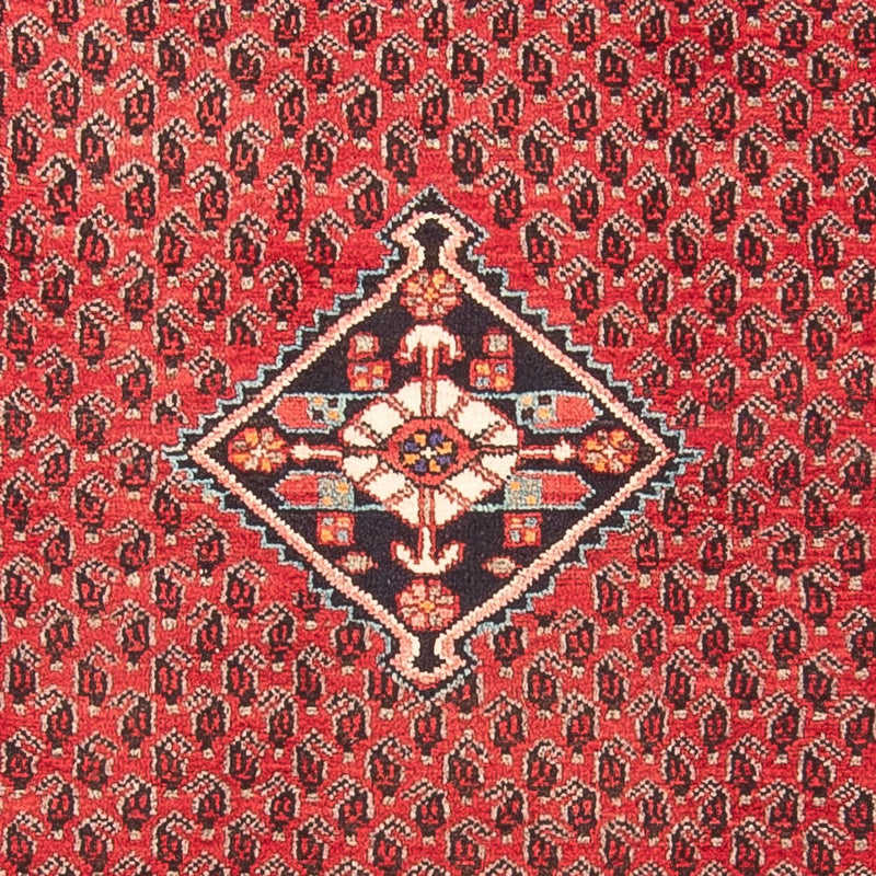 Hamadan Teppe 314x111cm - Persisk teppe