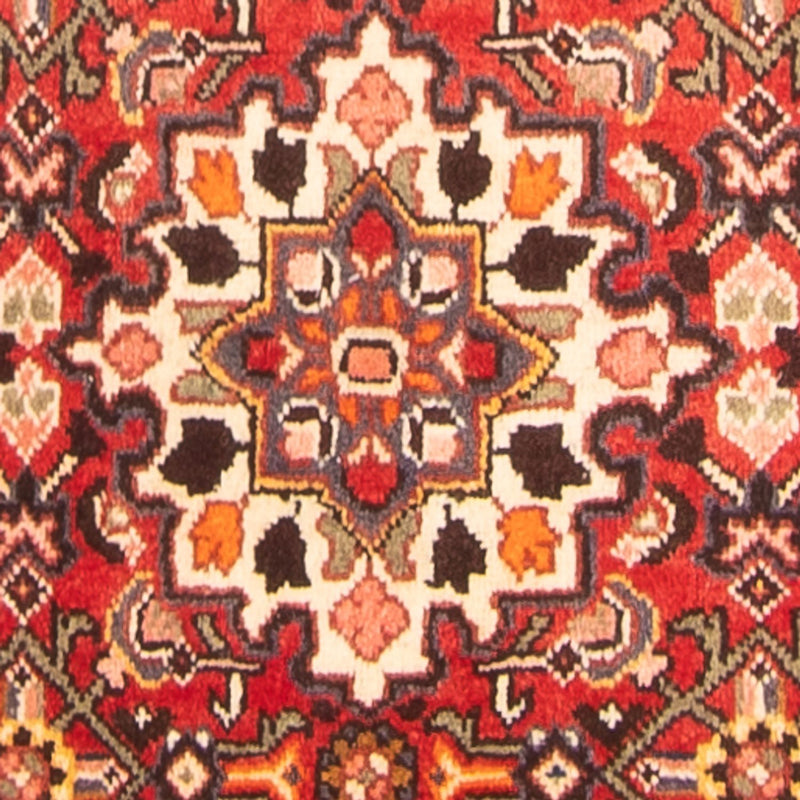 Hosseinabad Teppe 327x112cm - Persisk teppe