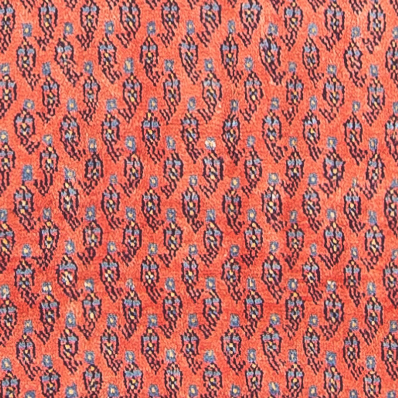Sarouk Teppe 118x328cm - Persisk teppe
