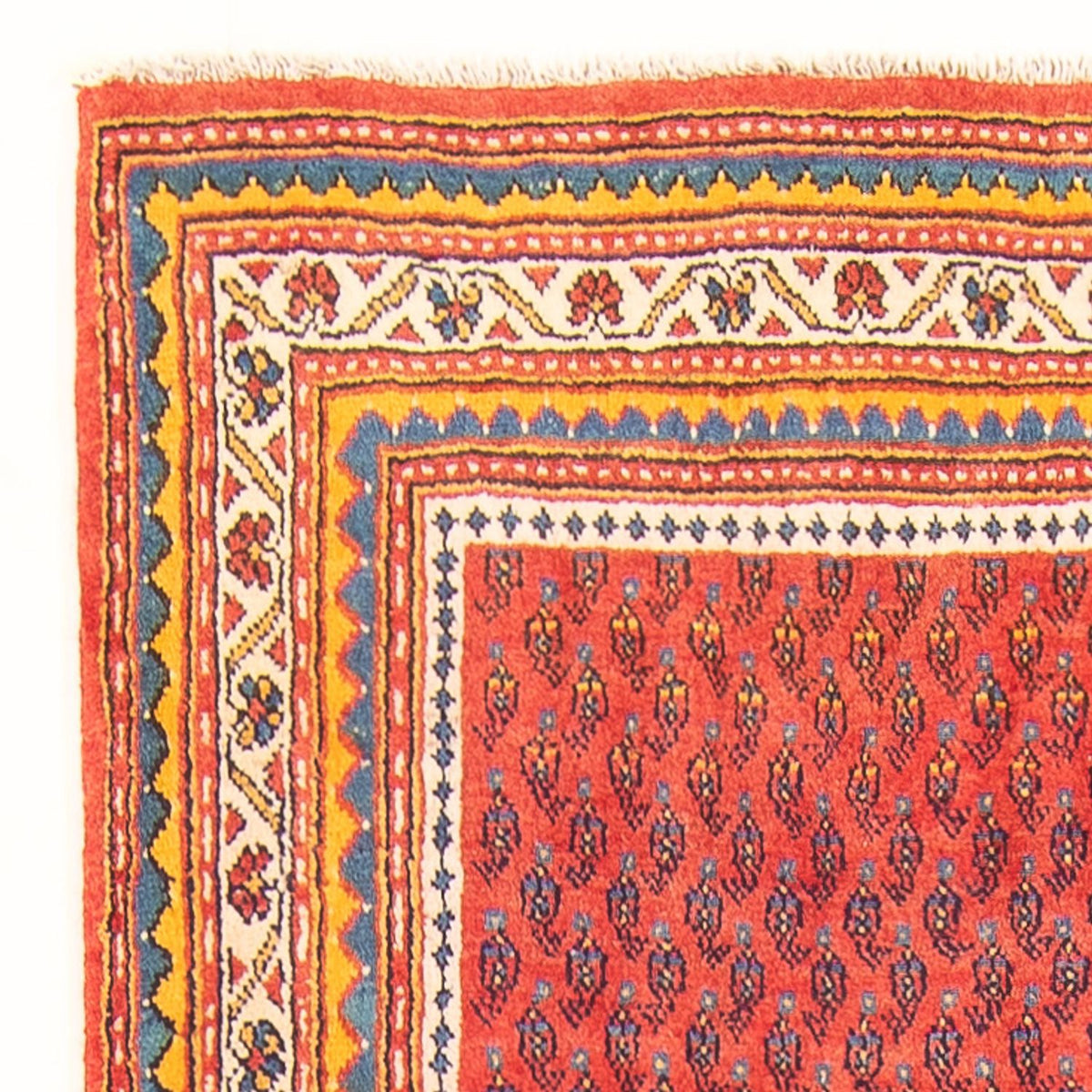 Sarouk Teppe 118x328cm - Persisk teppe