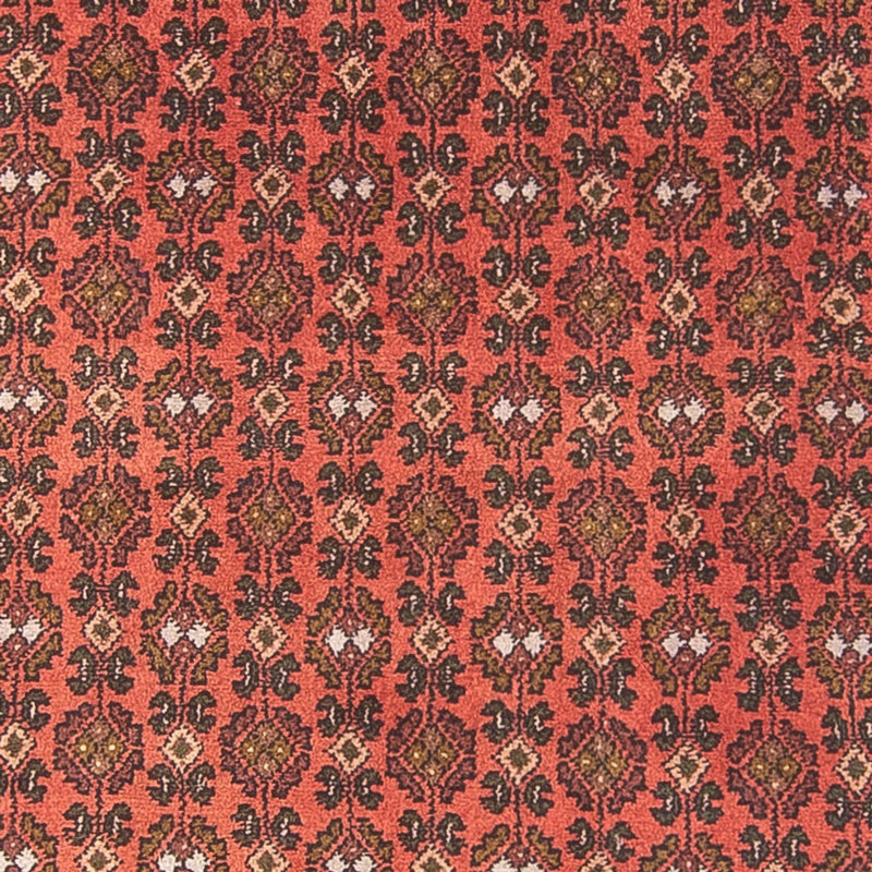 Hamadan Teppe 294x101cm - Persisk teppe