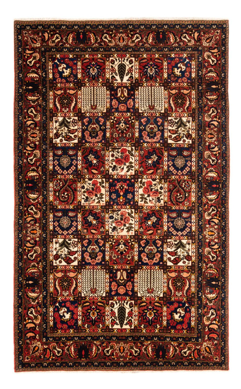 Bakhtiari Teppe 250x155cm - Persisk teppe