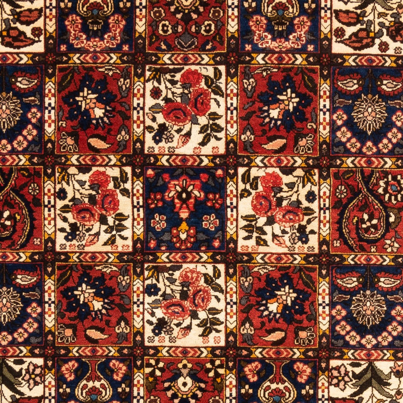 Bakhtiari Teppe 250x155cm - Persisk teppe