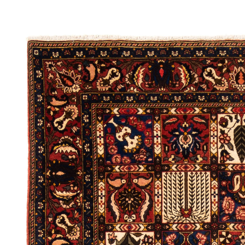 Bakhtiari Teppe 250x155cm - Persisk teppe