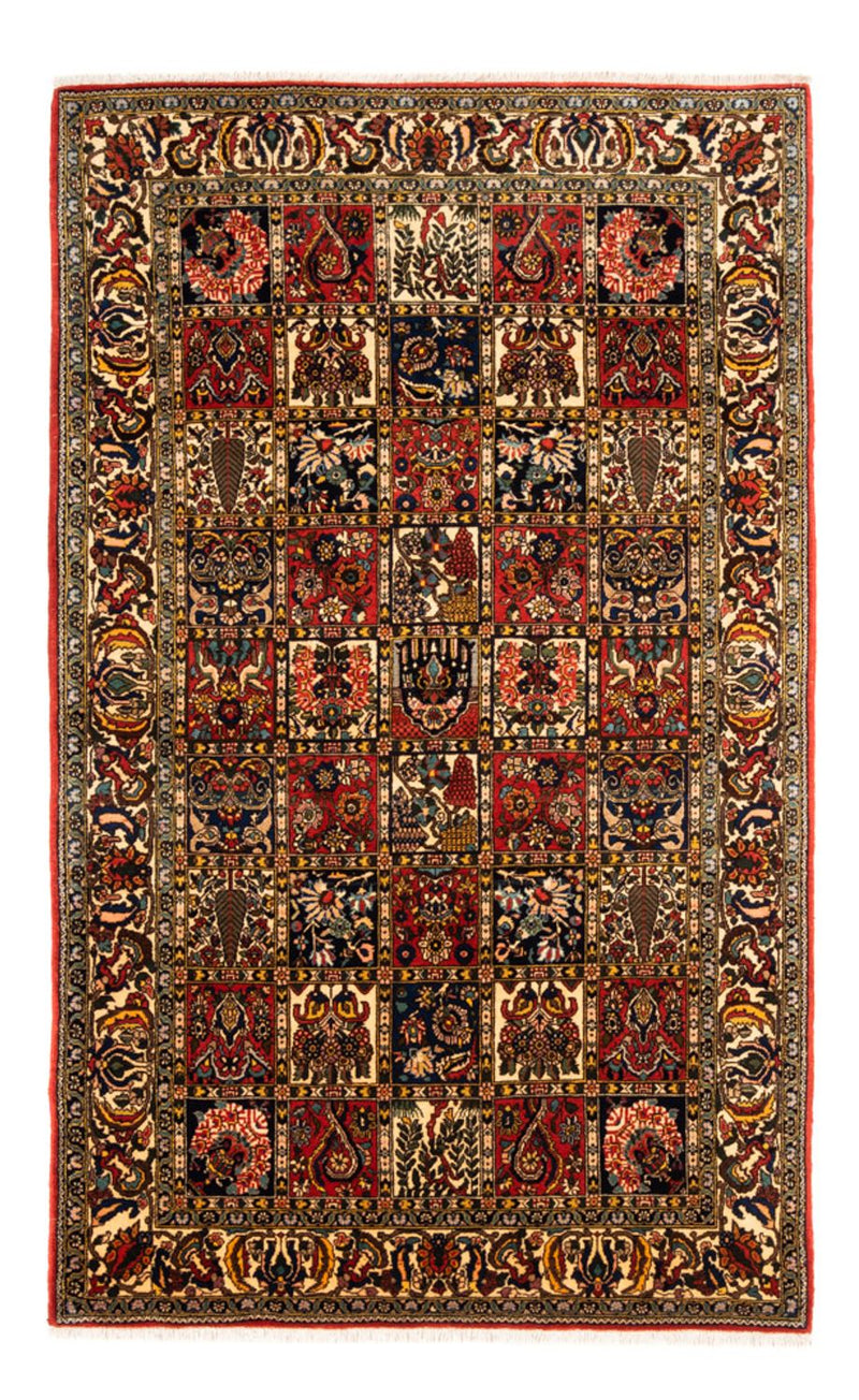 Bakhtiari Teppe 250x155cm - Persisk teppe