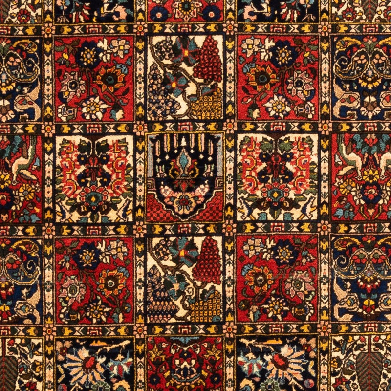 Bakhtiari Teppe 250x155cm - Persisk teppe