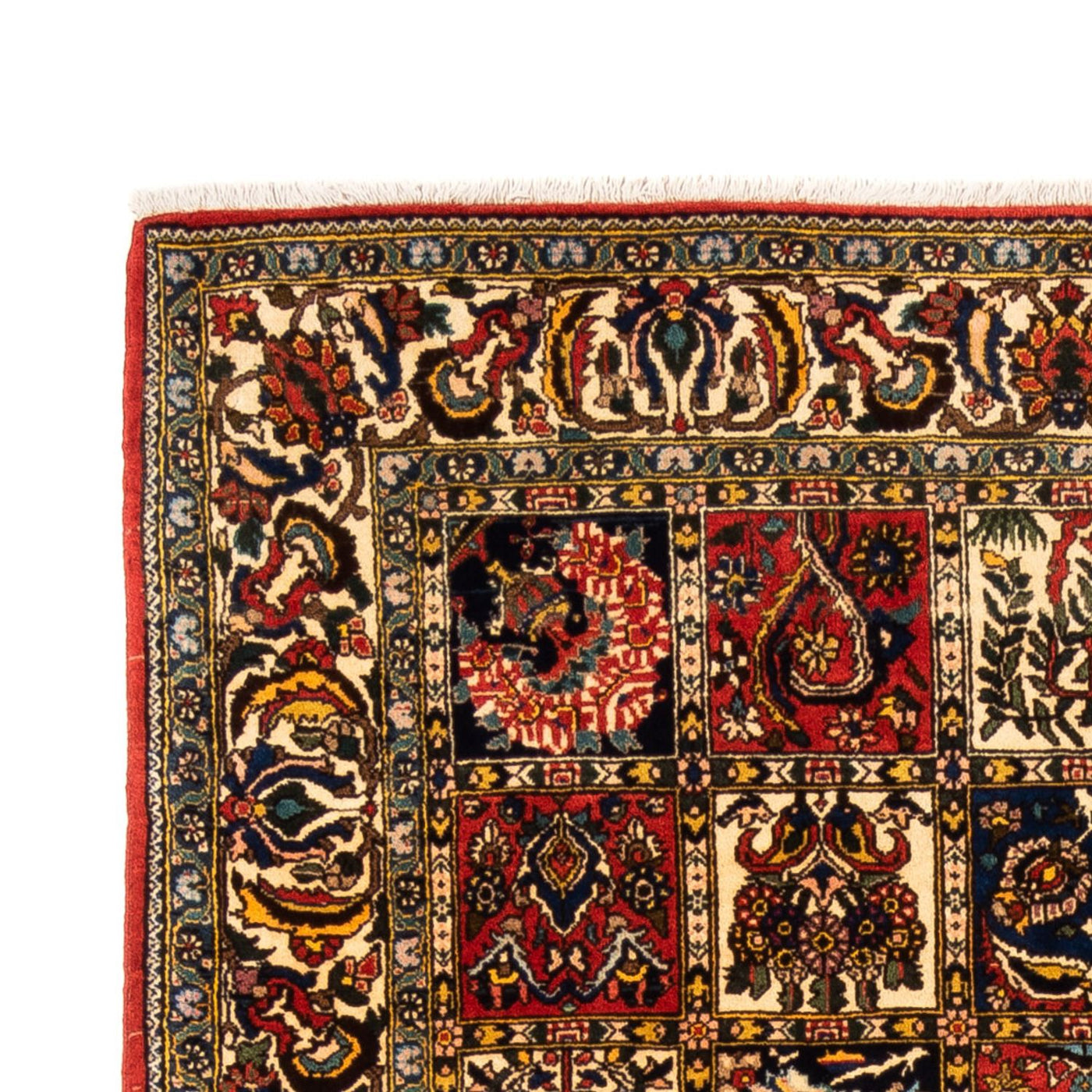 Bakhtiari Teppe 250x155cm - Persisk teppe