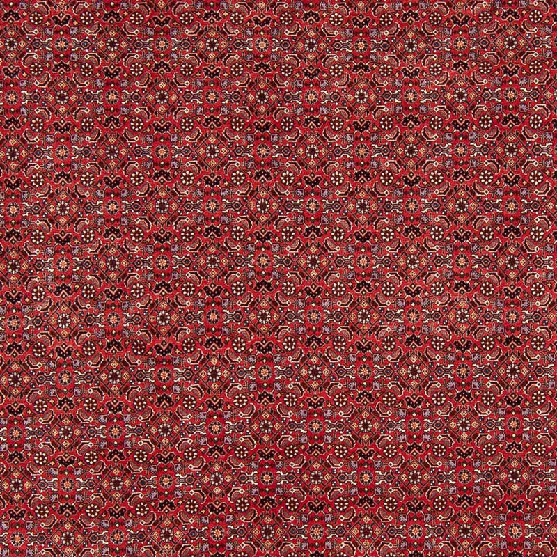 Persisk teppe - Bijar - Royal - 272 x 217 cm - mørk rød