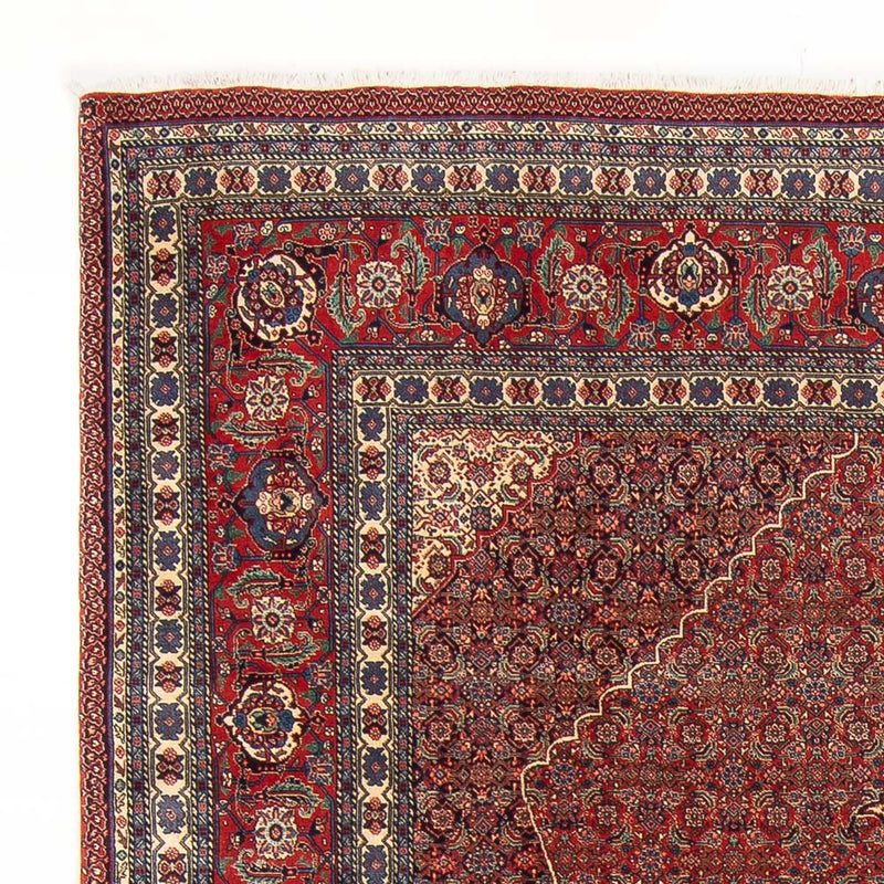 Tabriz - 50 Raj Teppe 290x202cm - Persisk teppe