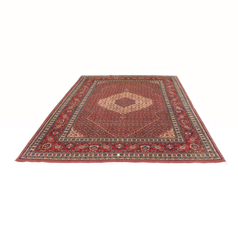 Tabriz - 50 Raj Teppe 290x202cm - Persisk teppe