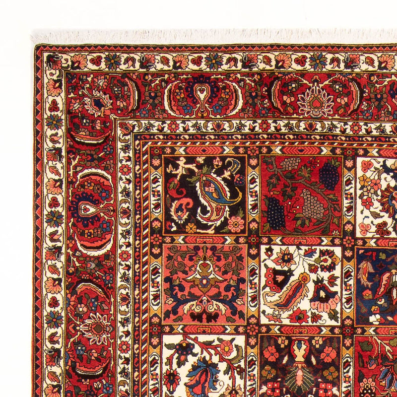 Bakhtiari Teppe 314x210cm - Persisk teppe