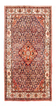 Hosseinabad Teppe 322x163cm - Persisk teppe
