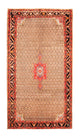 Kolyai Teppe 313x170cm - Persisk teppe