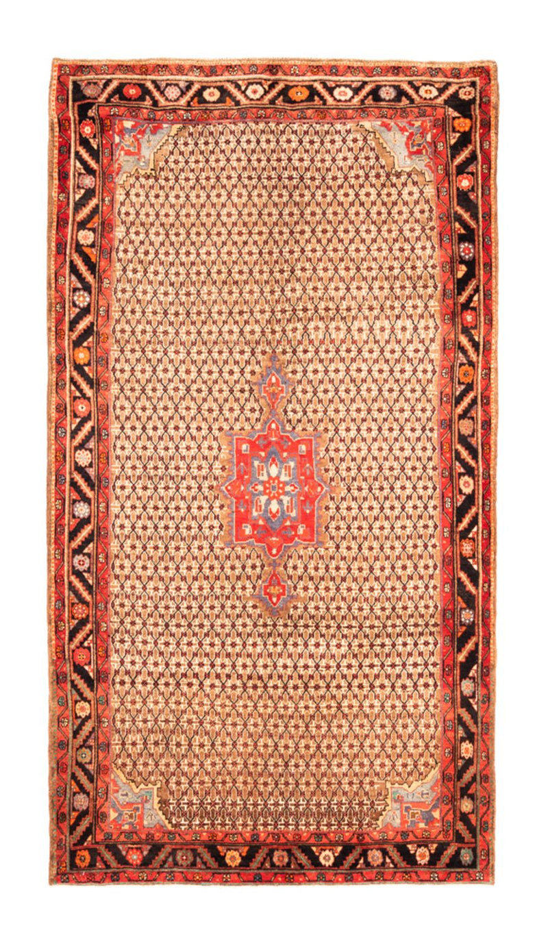 Kolyai Teppe 313x170cm - Persisk teppe
