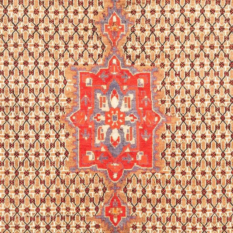 Kolyai Teppe 313x170cm - Persisk teppe