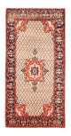 Kolyai Teppe 310x155cm - Persisk teppe