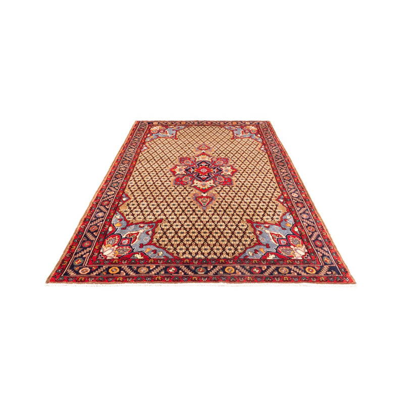 Kolyai Teppe 290x155cm - Persisk teppe