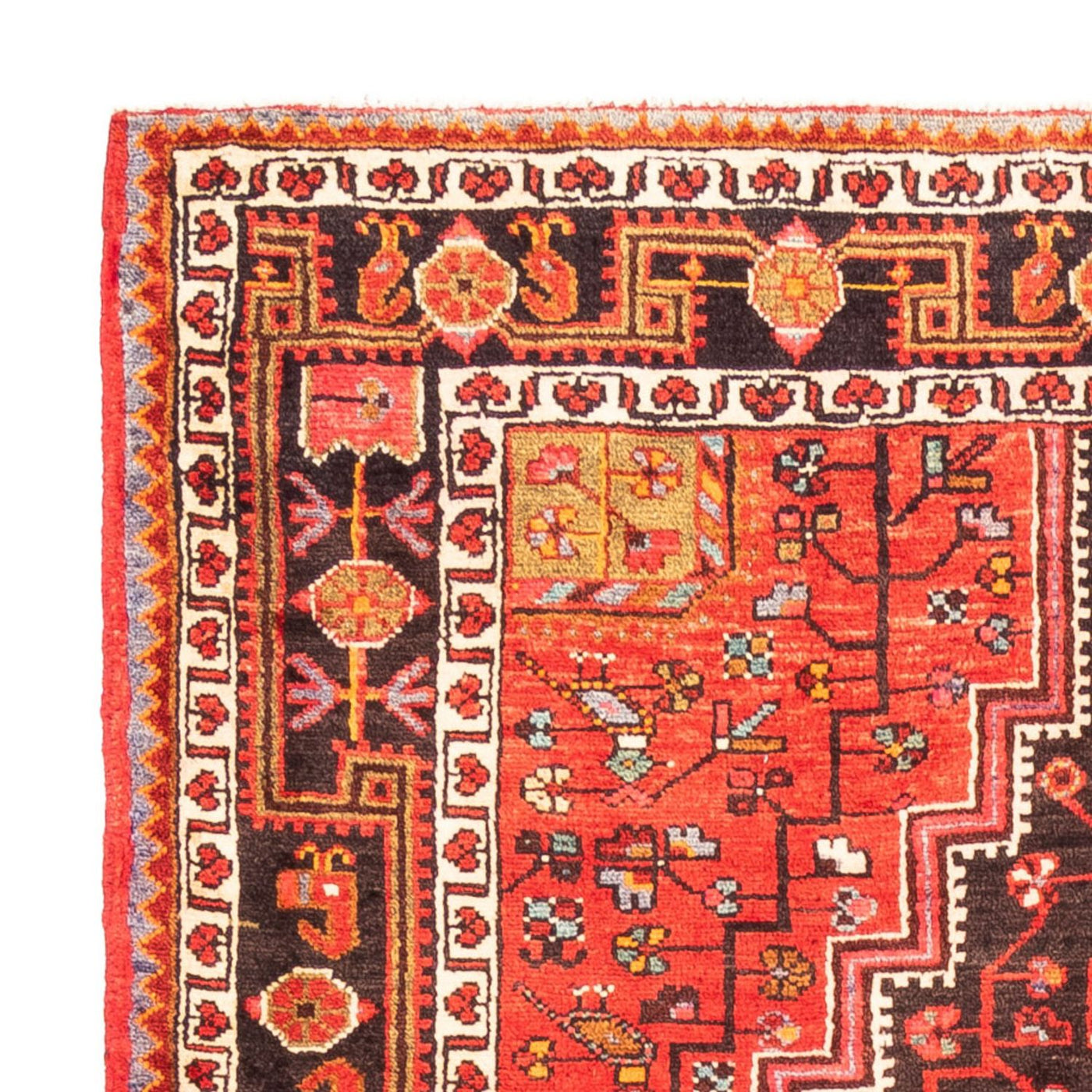 Hamadan Teppe 273x154cm - Persisk teppe