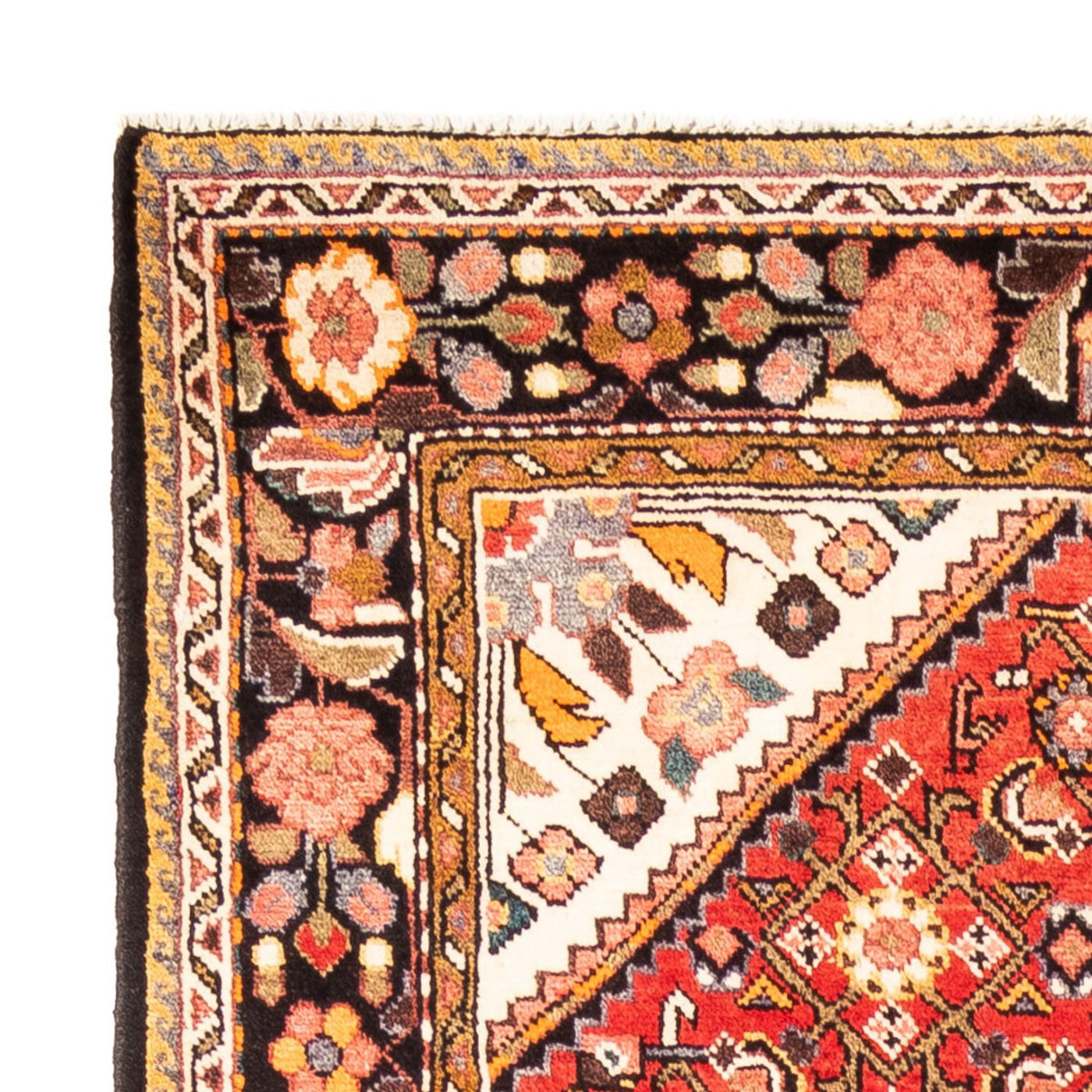 Hosseinabad Teppe 315x160cm - Persisk teppe